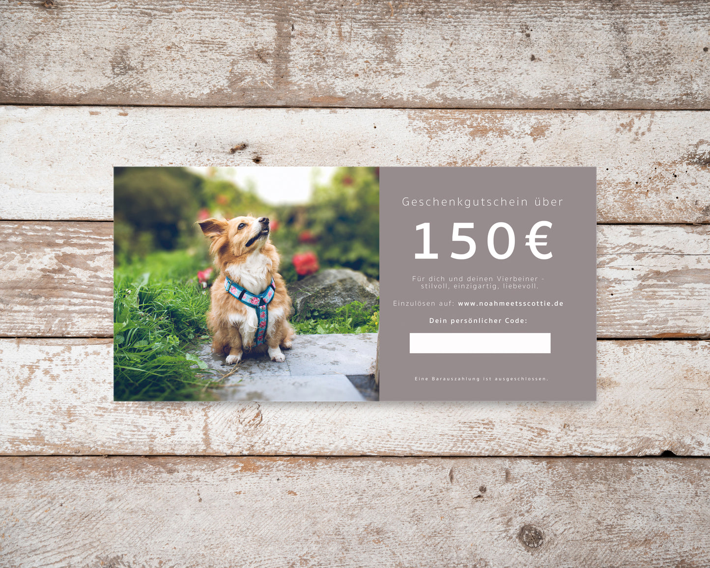 Gutschein Hundezubehör und Schmuck 150 Euro edle Karte auf Holzuntergrund
