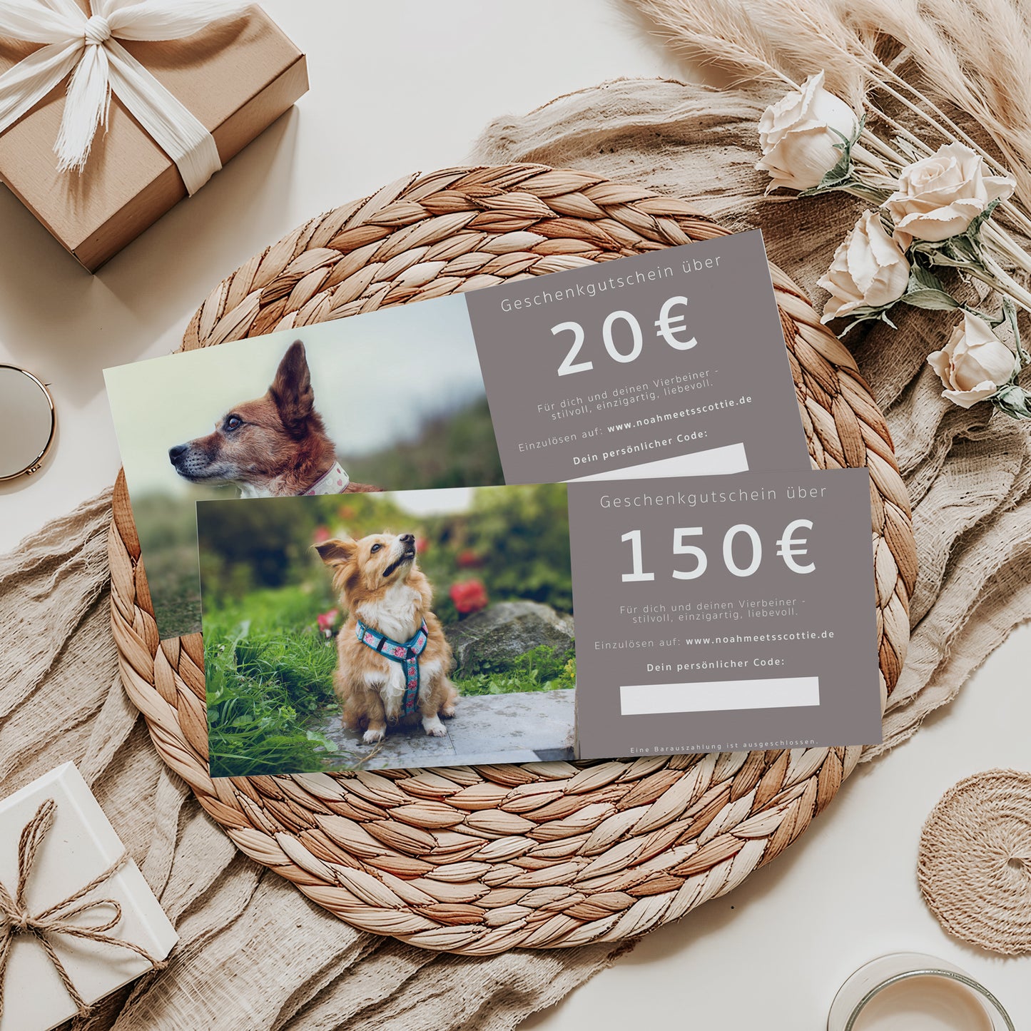 Geschenk Gutschein Hundezubehör und Schmuck 20 bis 150 Euro auf Dekoteller