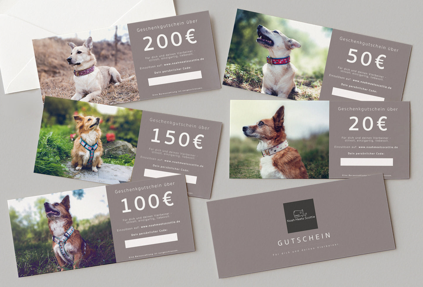 Gutschein Hundezubehör und Schmuck 20 bis 200 Euro – Übersicht aller Karten