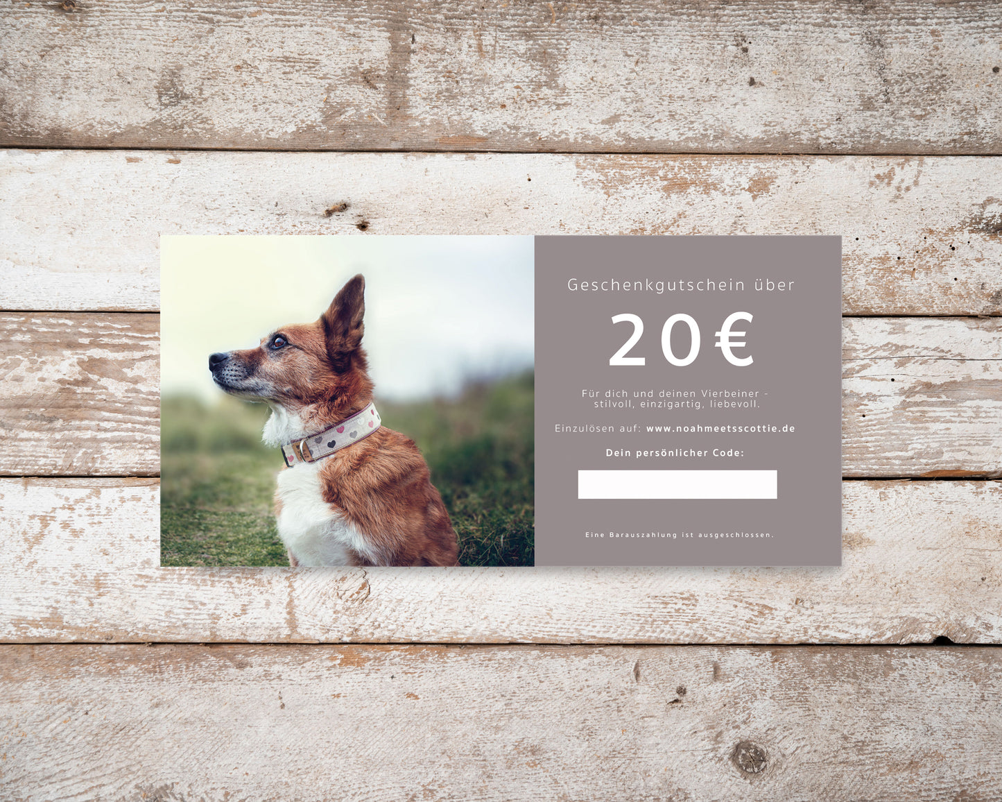 Gutschein Hundezubehör und Schmuck 20 Euro edle Karte auf Holzuntergrund