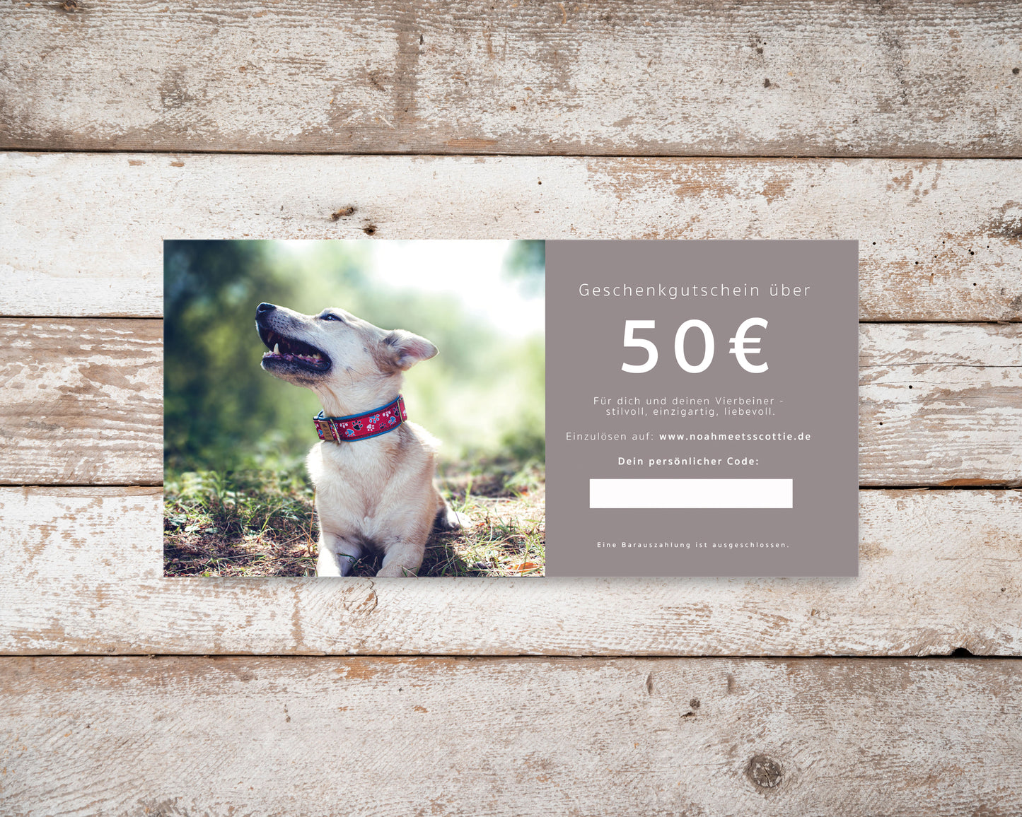 Gutschein Hundezubehör und Schmuck 50 Euro edle Karte auf Holzuntergrund