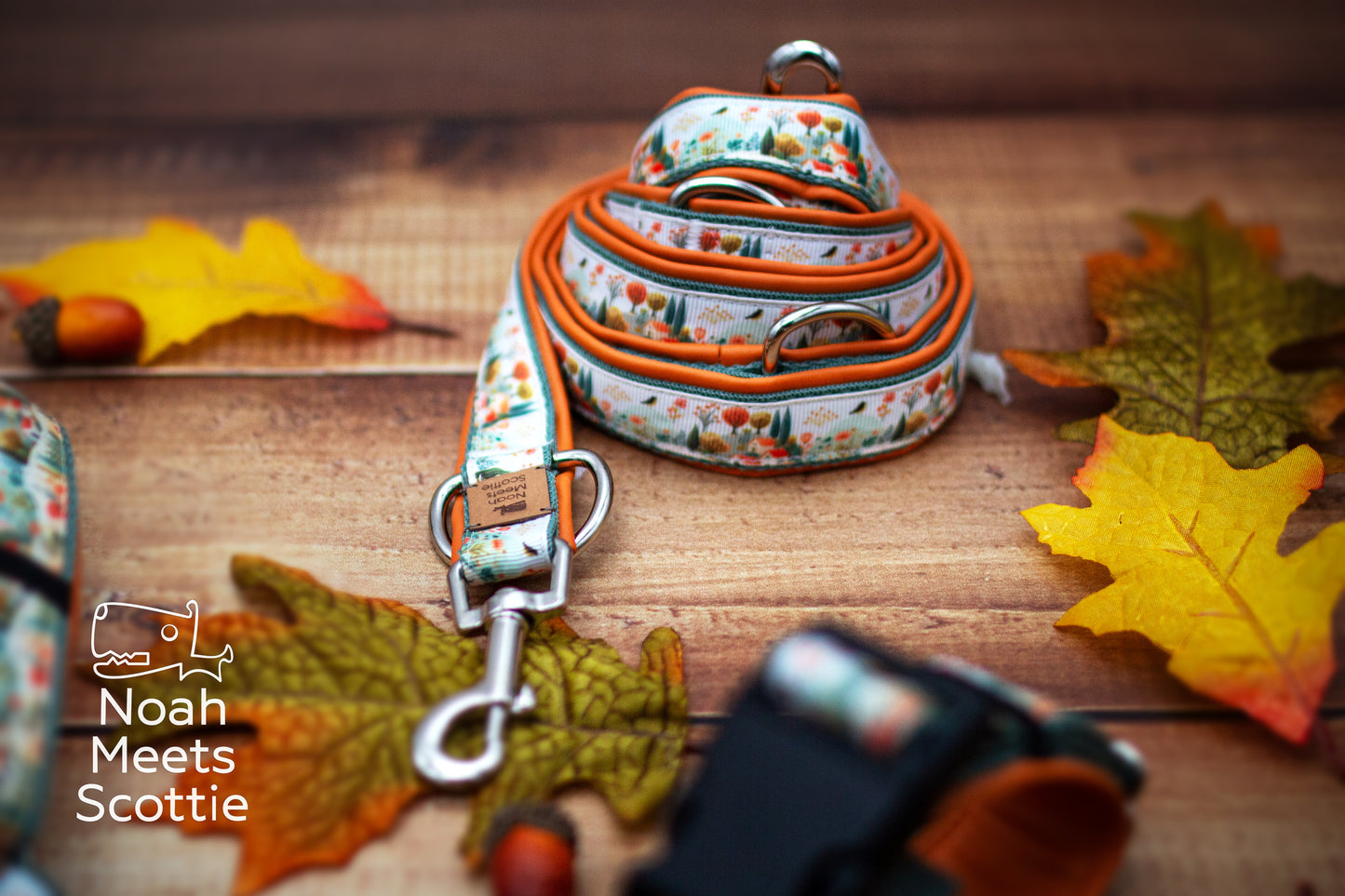 Hundegeschirr Meet Me in October mit Herbstlandschaft und passender Hundeleine im gleichen Design.
