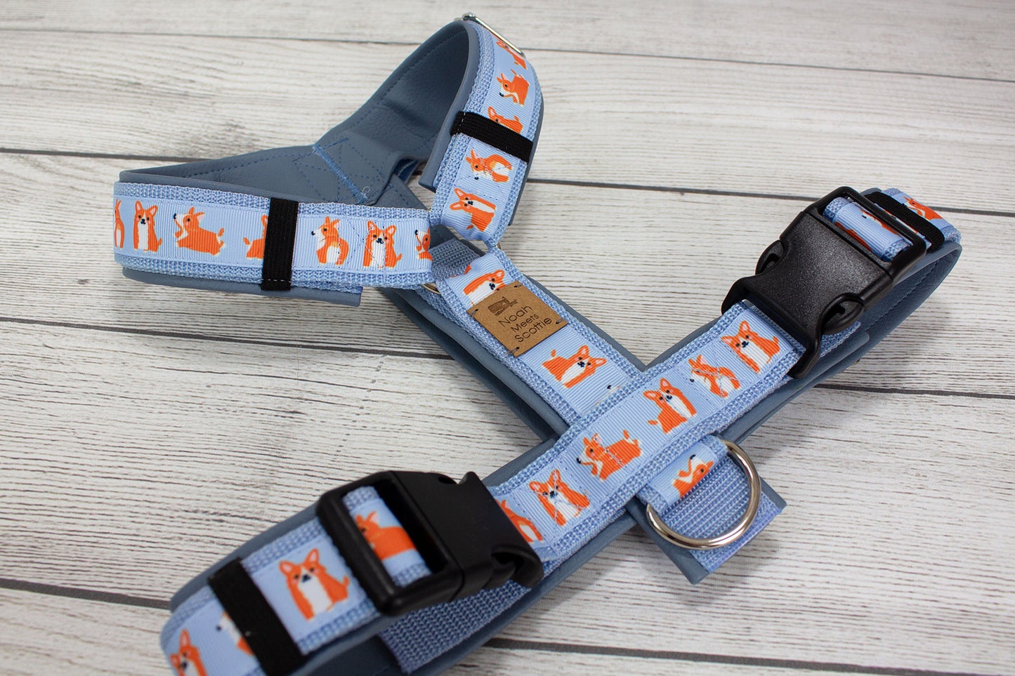 Hundegeschirr CORGI hellblau, stilvolles Hundegeschirr mit Corgi Muster, gepolstert und komfortabel
