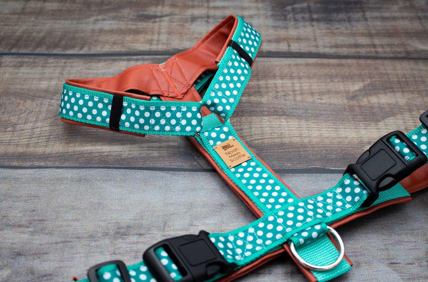 Hundegeschirr DOROTHY gepunktetes Design Mintgrün und Braun, weich gepolstert, bequem und robust