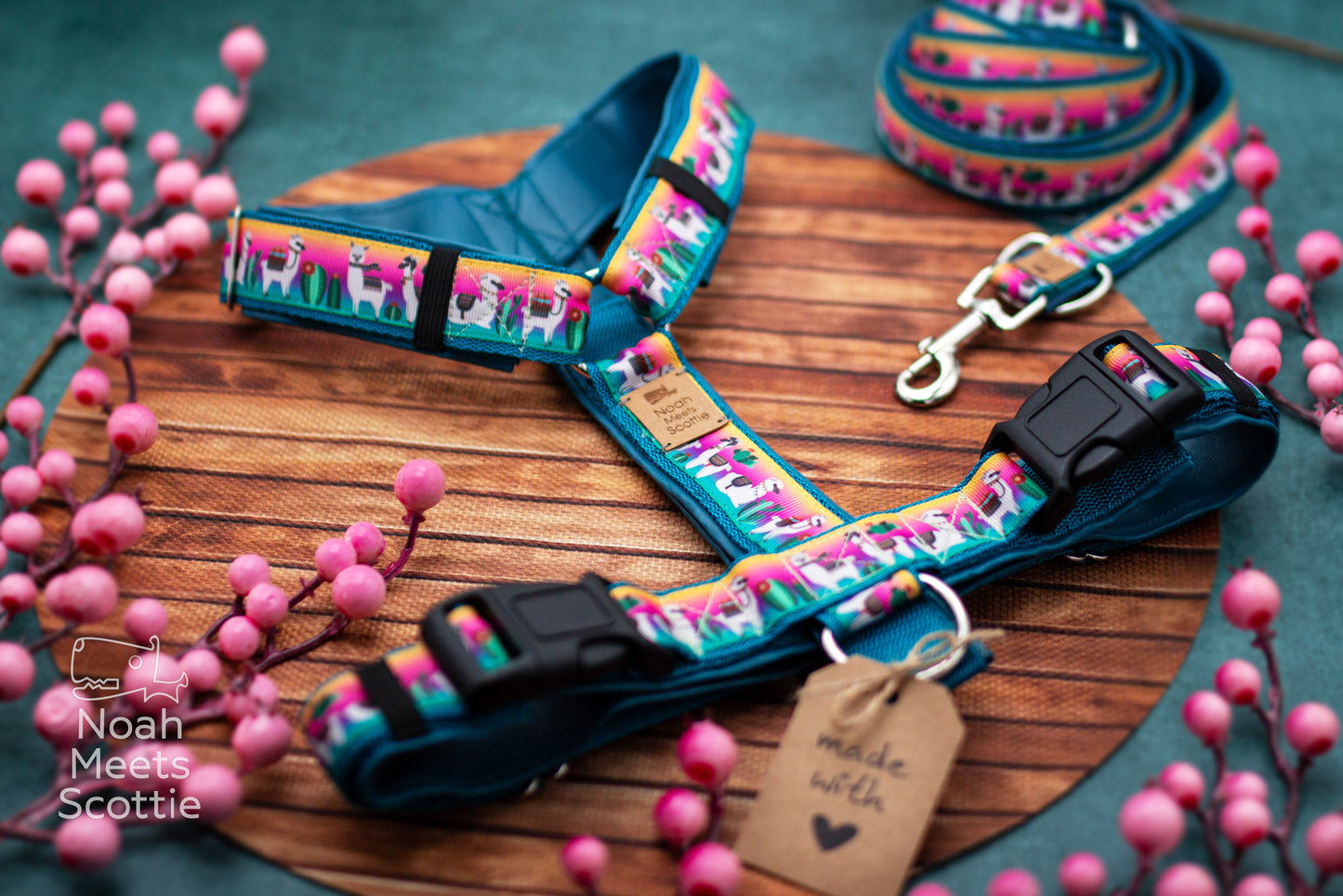 Hundegeschirr mit passender Hundeleine im Alpaka Design mit Pink, Türkis und Kakteenmotiv