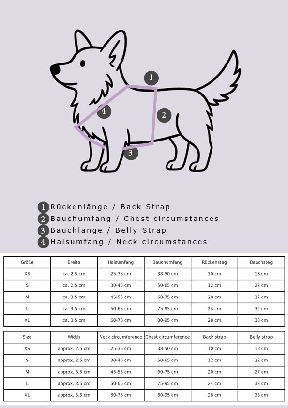 Illustration zur Maßanleitung für gefüttertes Hundegeschirr mit Rückensteg, Bauchsteg, Halsumfang und Bauchumfang