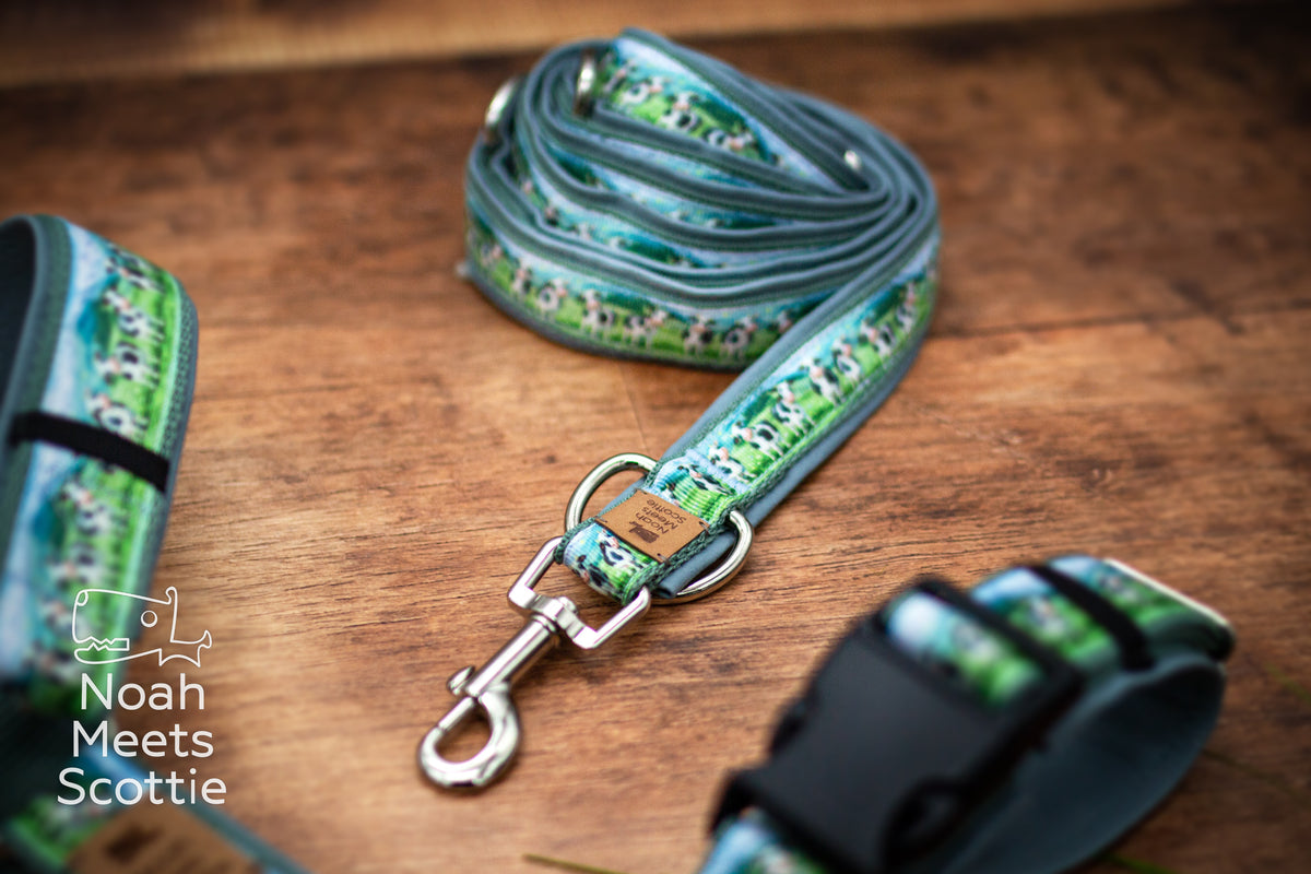 Hundegeschirr mit passender Hundeleine im Kuhdesign mit schwarz-weißen Kühen, grüner Wiese und blauem Himmel.