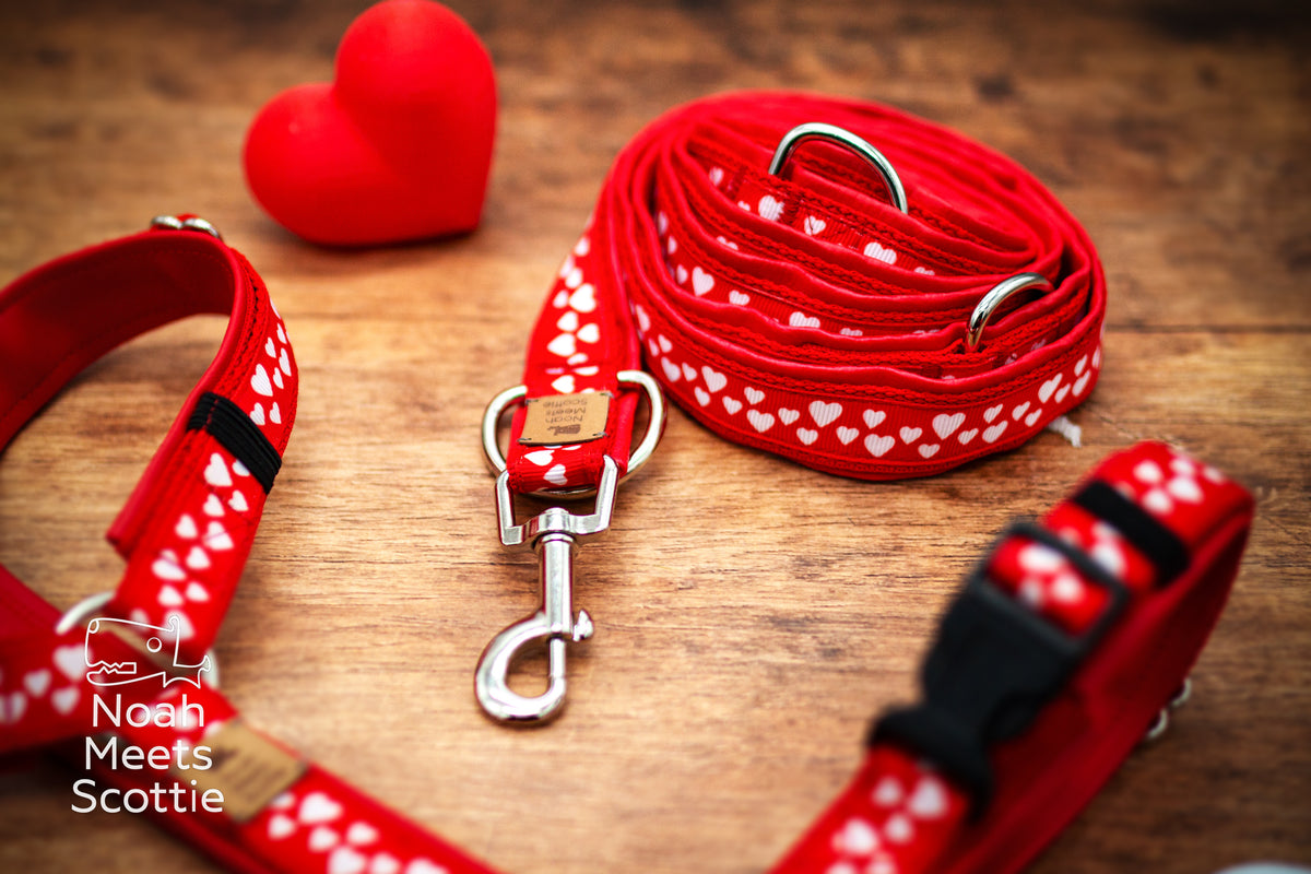 Hundegeschirr LITTLE LOVE NOTES und passende Hundeleine im roten Design mit kleinen weißen Herzen.