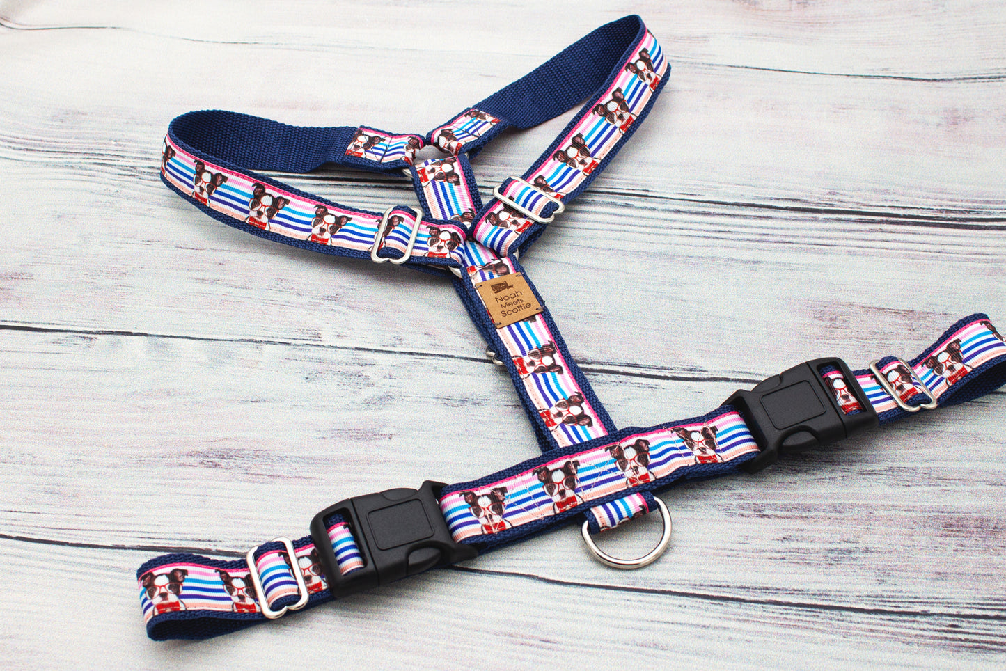 Hundegeschirr mit Boston-Terrier-Design, MISTER KNOWITALL in kräftigen Farben, hochwertiges Hundezubehör