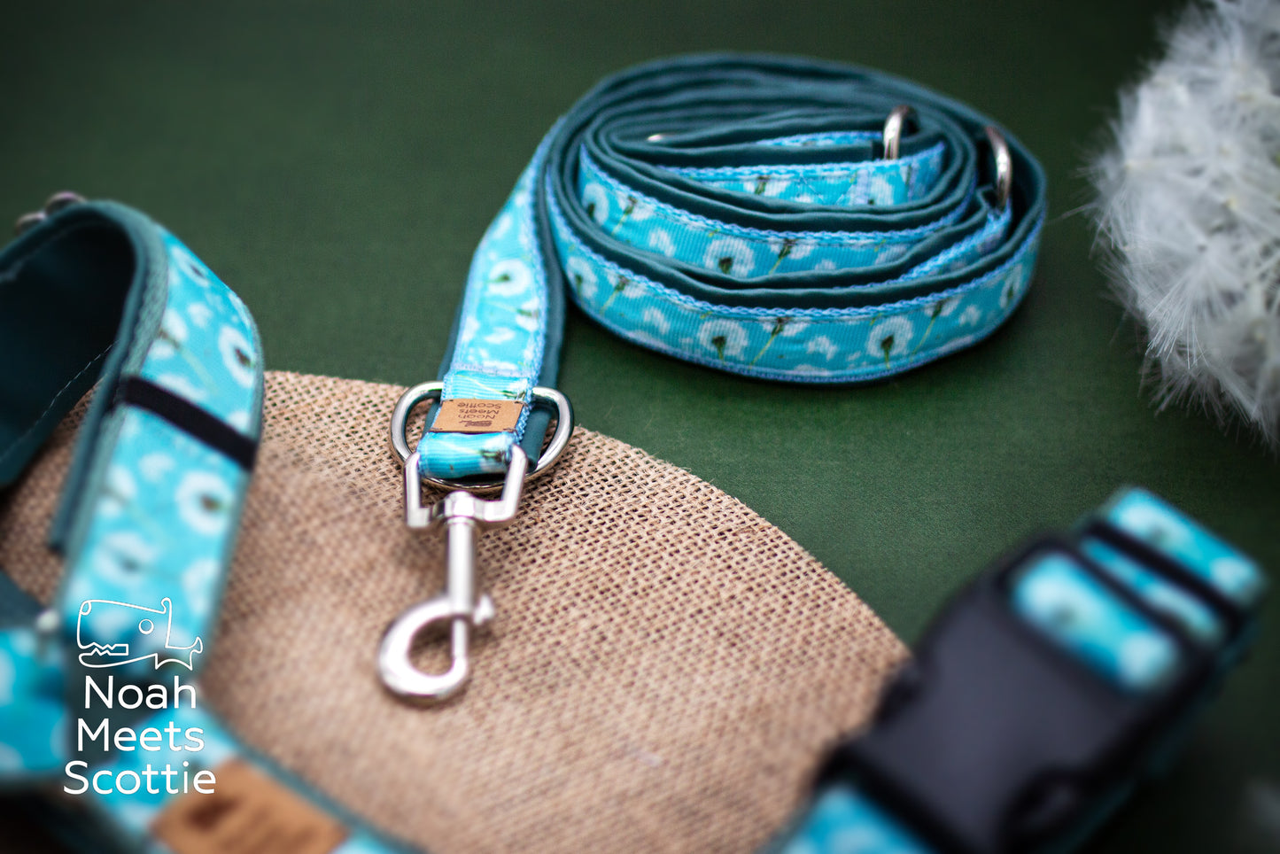 Hundegeschirr mit Löwenzahnmotiv, weißen Pusteblumen und fliegenden Samen in Hellblau, Türkis und Grün