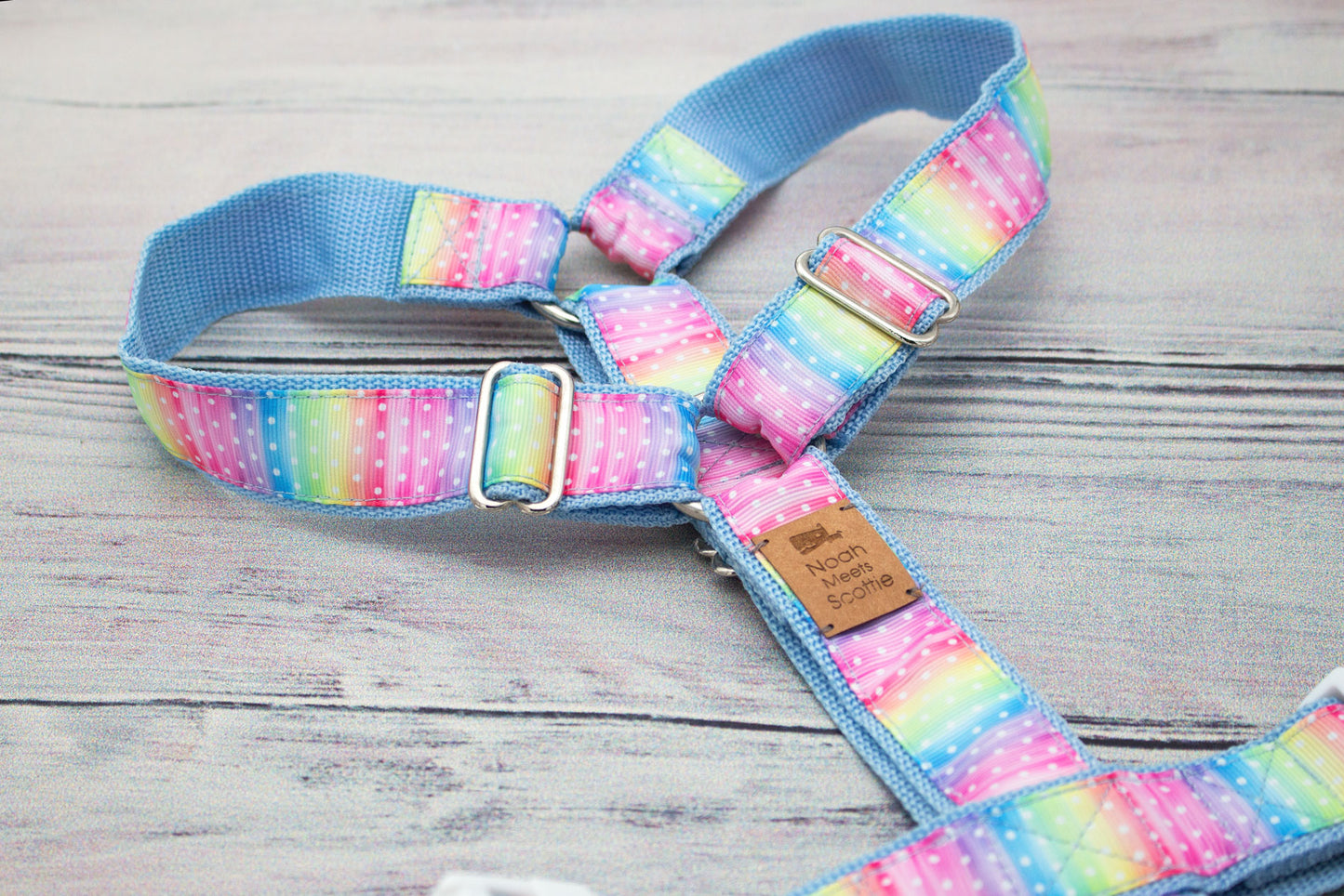 Hundegeschirr Regenbogenfarben Rosa Mint Hellblau Gelb mit weißen Punkten, robust und modern