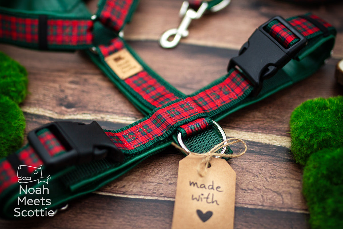 Hundegeschirr mit passender Hundeleine im rot-grünen Tartan-Design SCOTTIE'S CHOICE