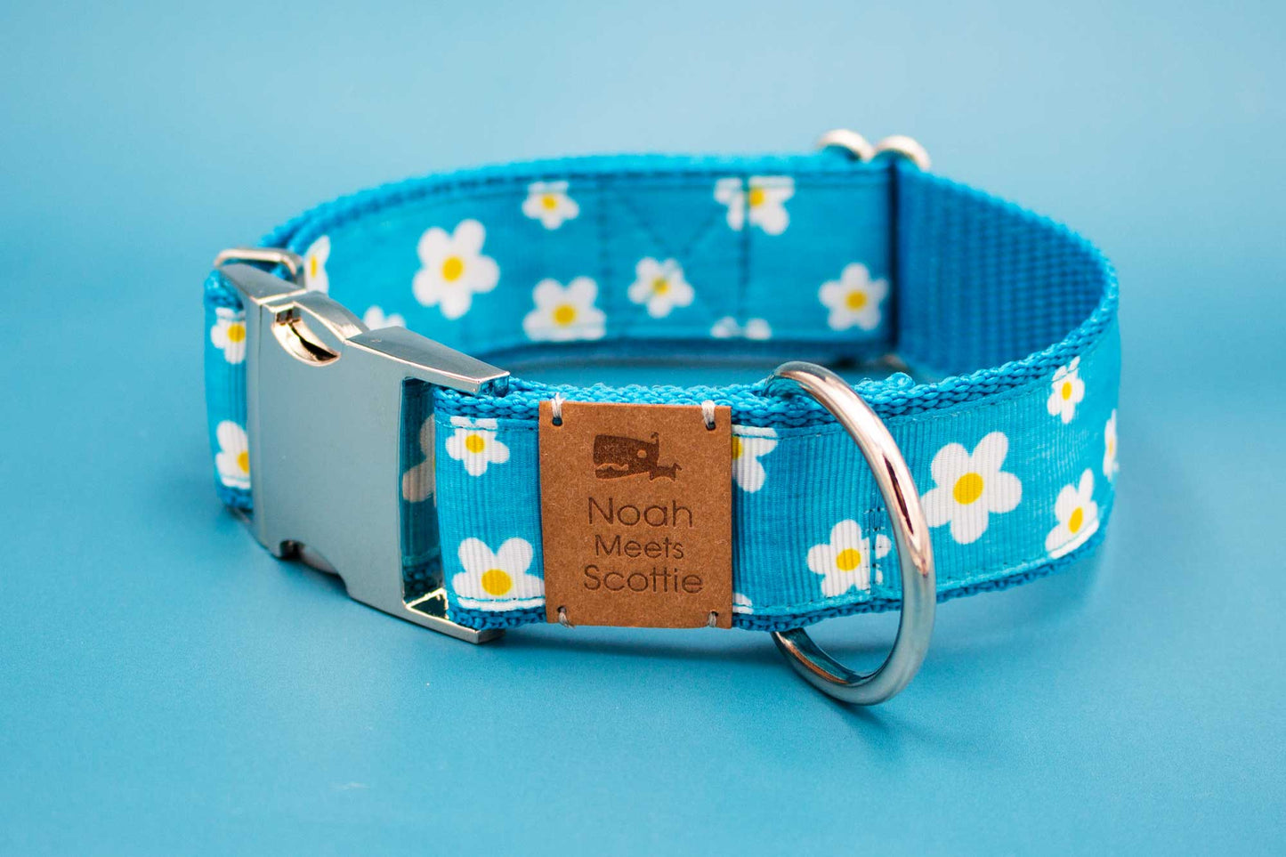 Detail Hundehalsband DAISYDREAM – frisches Gänseblümchen Design auf Türkis, modern und sommerlich