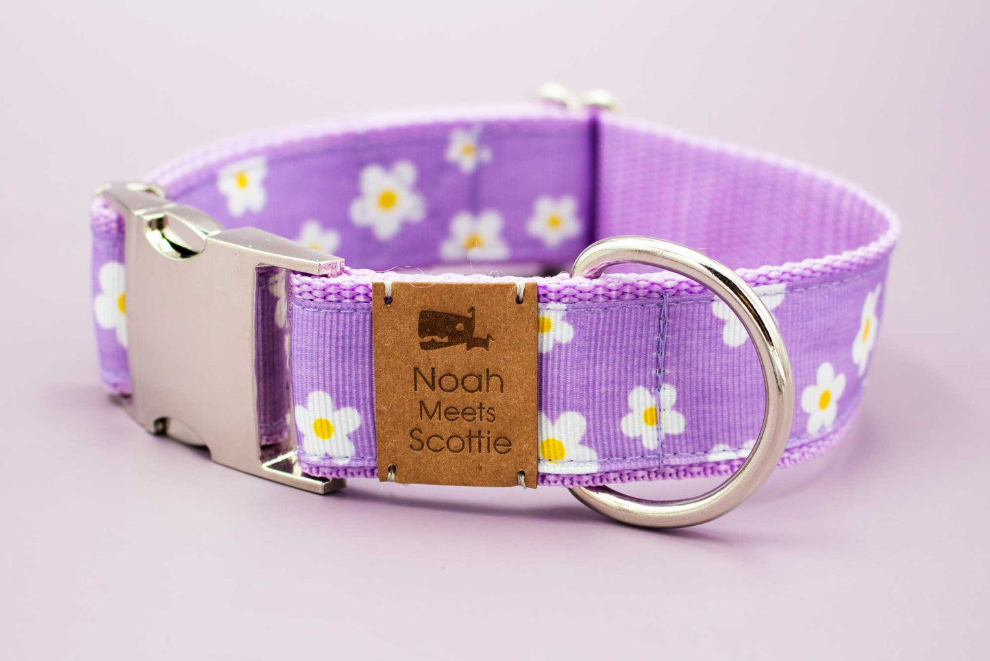 Hundehalsband FLIEDERZEIT – Gänseblümchen Motiv in Flieder und Weiß, romantisch, entspannt, robust, verstellbar