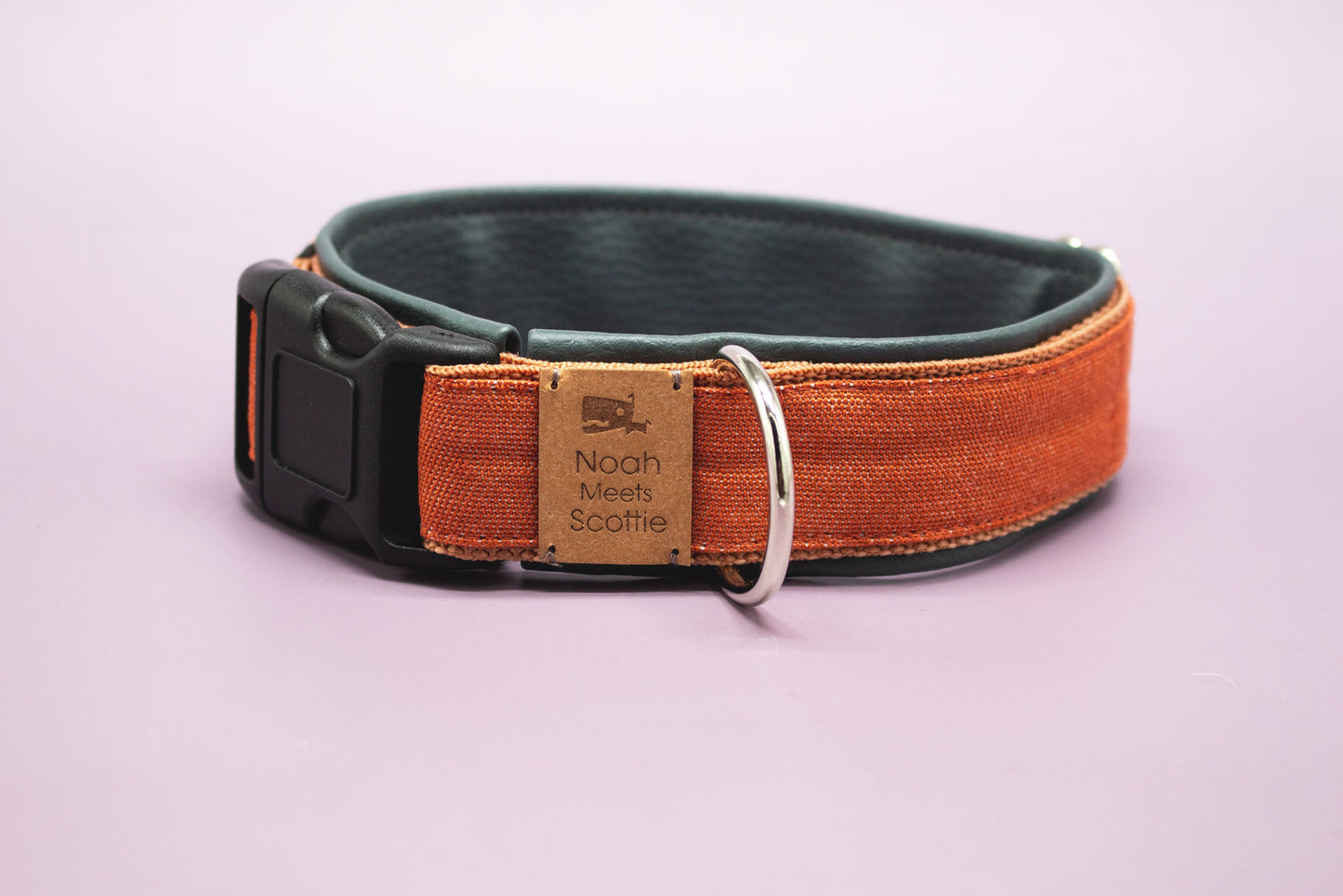 Detailansicht Hundehalsband HUGH, modern, schlicht und robust