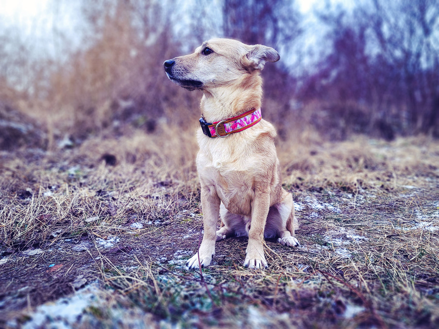 Philipp trägt das Hundehalsband LOVE LEAFES mit pinkem Blättermuster – Frontansicht