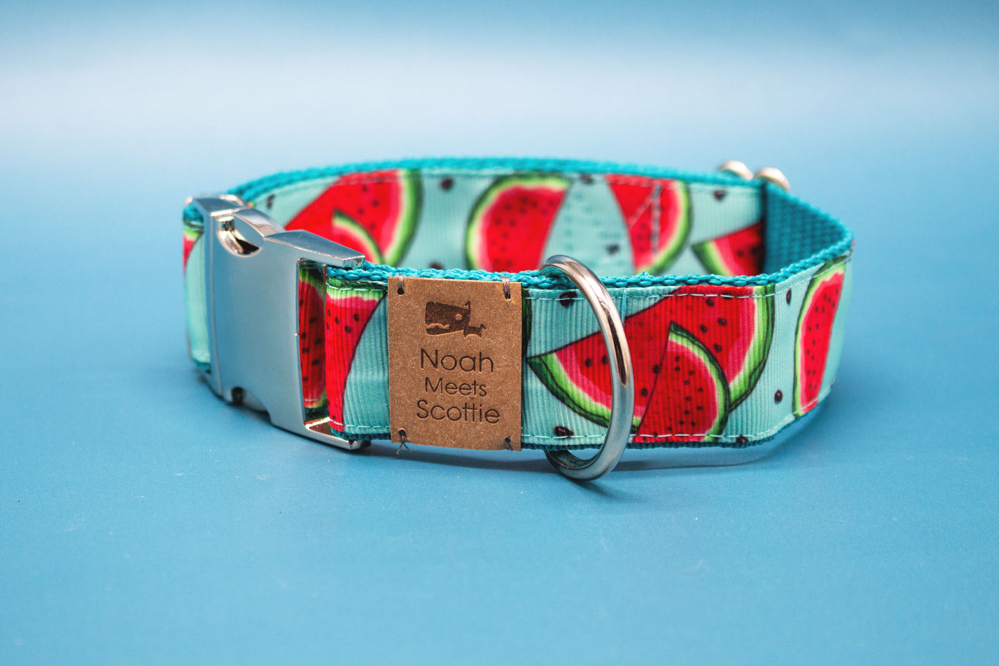 Hundehalsband – fruchtiges Design mit roten Melonenscheiben, silberfarbene Metallschnalle