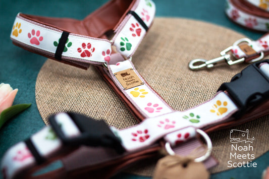 Hundegeschirr PIPPA PAWS mit buntem Pfotenmuster in Rosa, Rot, Grün und Senfgelb auf hellem Grund
