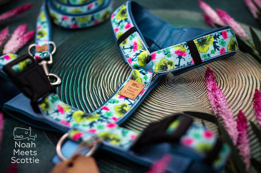 Hundegeschirr Bloomadoodle mit pinken und grünen Blumen, Blättern und Ranken auf hellblauem Hintergrund