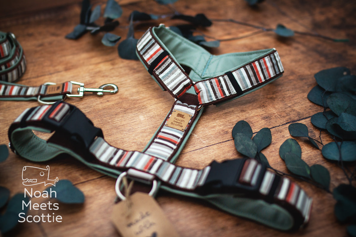Hundegeschirr im Retro-Look mit mehrfarbigem Streifenmuster, dunkelbraunem Gurtband und silberfarbenen Ringen.