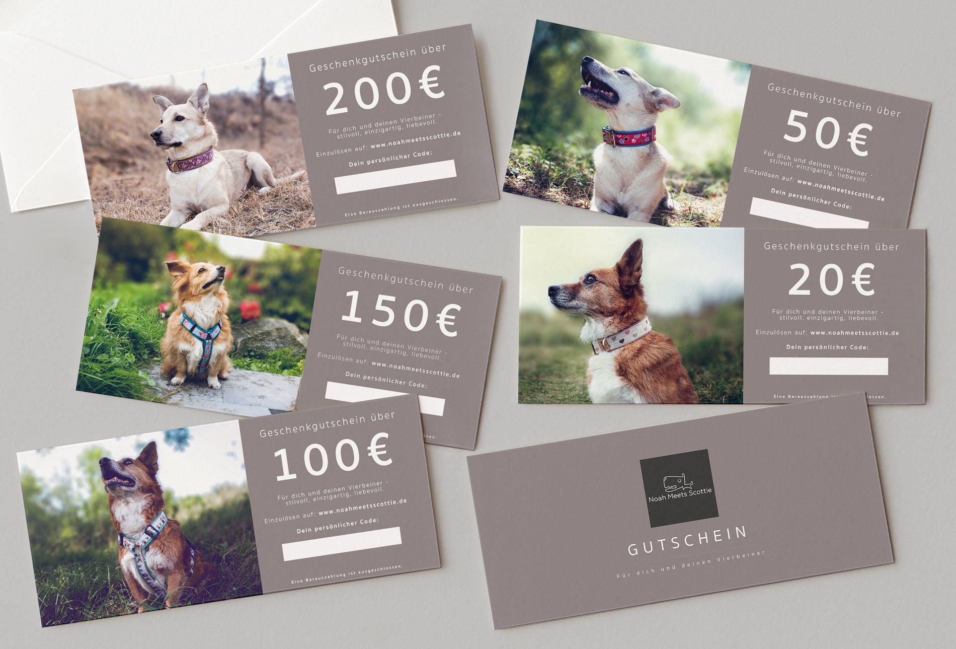 Gutschein Hundezubehör und Schmuck 20 bis 200 Euro – Übersicht aller Karten