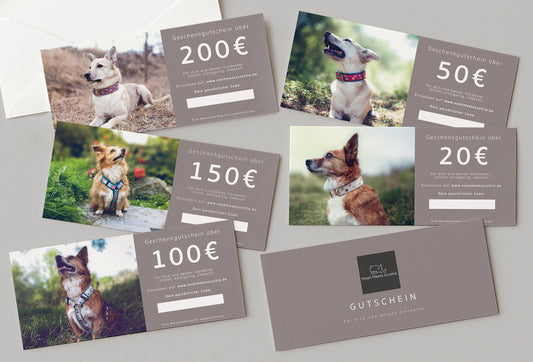 Gutschein Hundezubehör und Schmuck 20 bis 200 Euro – Übersicht aller Karten