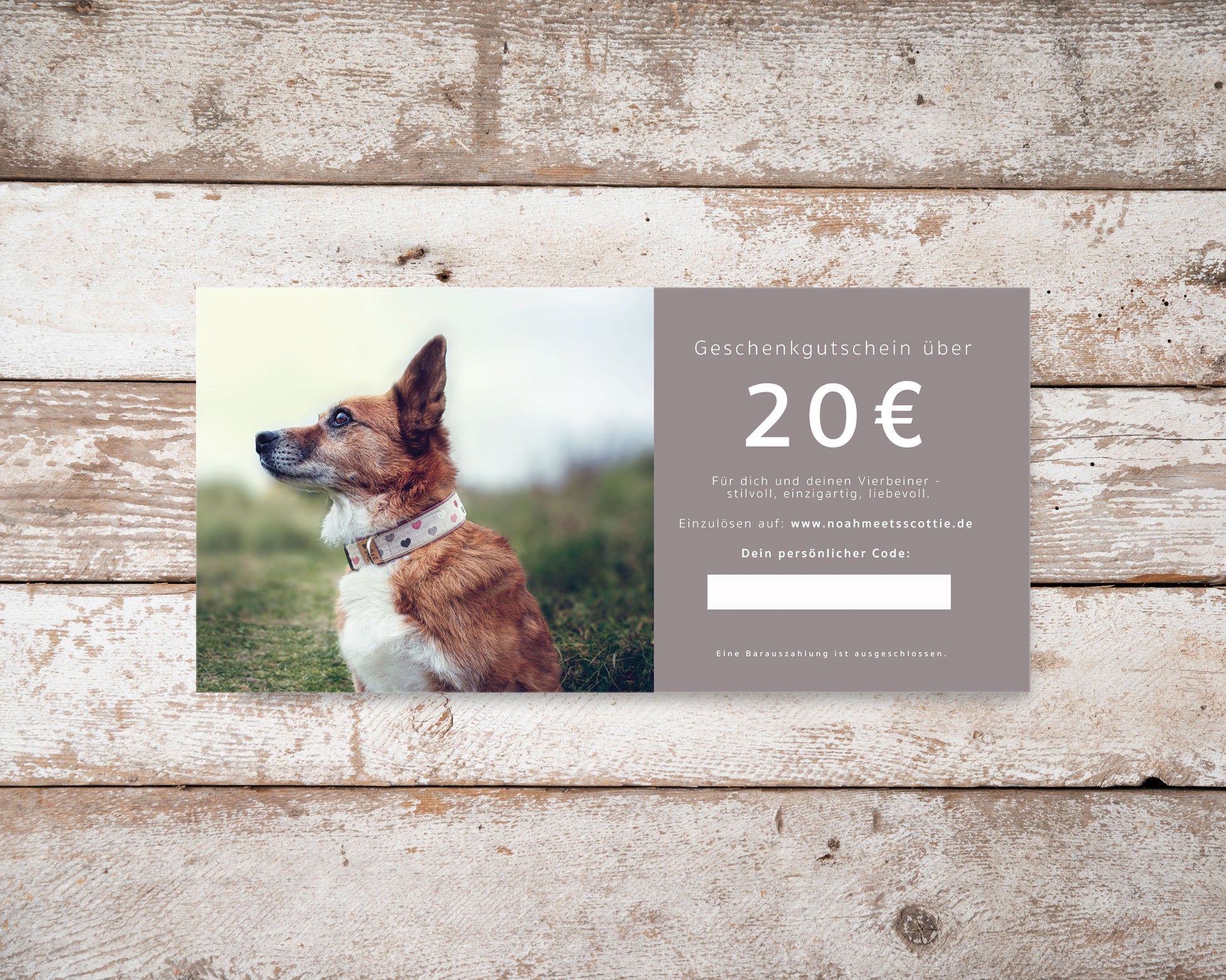 Gutschein Hundezubehör und Schmuck 20 Euro edle Karte auf Holzuntergrund