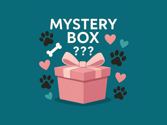 Hunde-Mystery-Box mit hochwertigen Halsbändern in exklusiven Designs