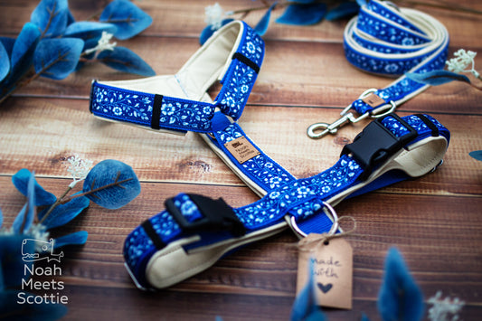 Hundegeschirr Athena in Kobaltblau mit filigranen weißen Ornamenten, kobaltblauem Gurtband und cremefarbener Kunstlederpolsterung.