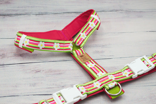 Hundegeschirr BELLA mit Margeriten Muster pink grün weiß, gepolstert und verstellbar