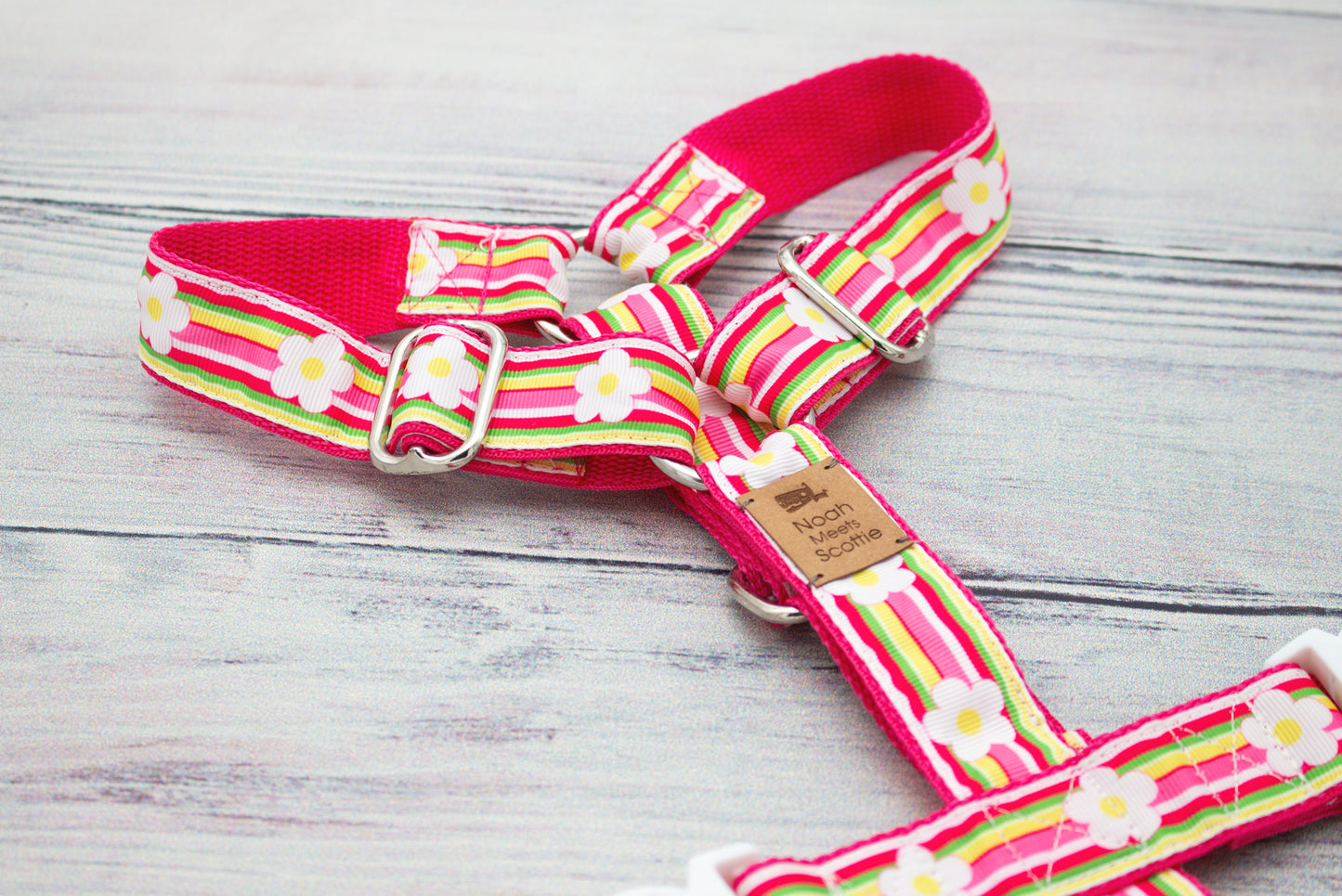 Hundegeschirr BELLA mit bunten Streifen und weißen Blüten, stilvoll von Noah meets Scottie