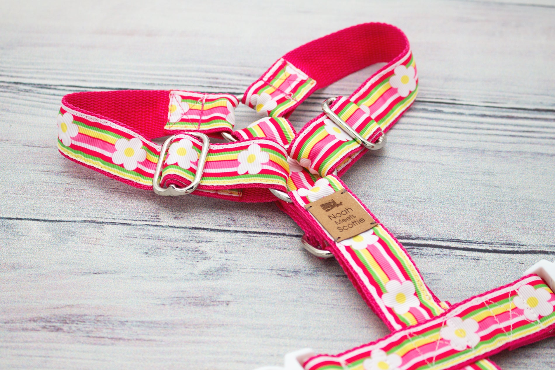 Hundegeschirr BELLA mit bunten Streifen und weißen Blüten, stilvoll von Noah meets Scottie
