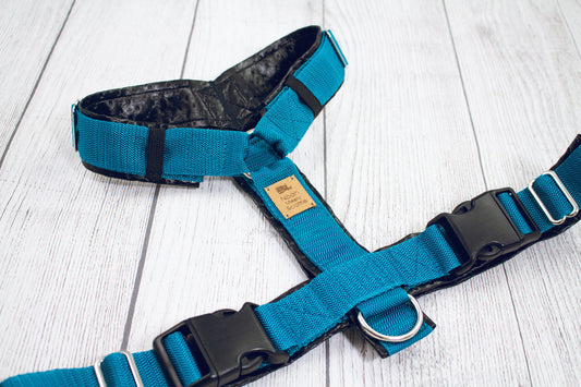Hundegeschirr BLACK SPOT schwarz petrolblau, sportlich modern, gepolstert und verstellbar