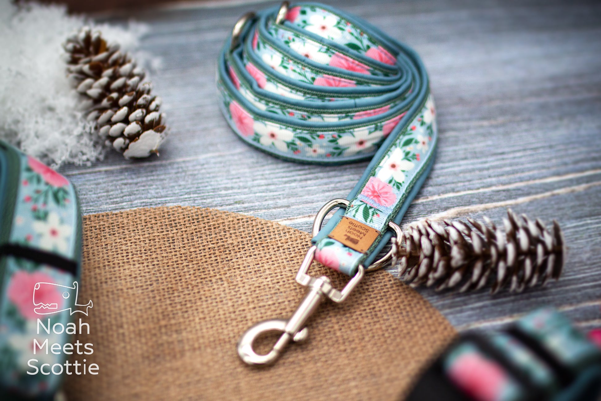FROSTY WHISPERS Blumen-Hundegeschirr mit rosa und weißen Blüten auf hellblauem Grund