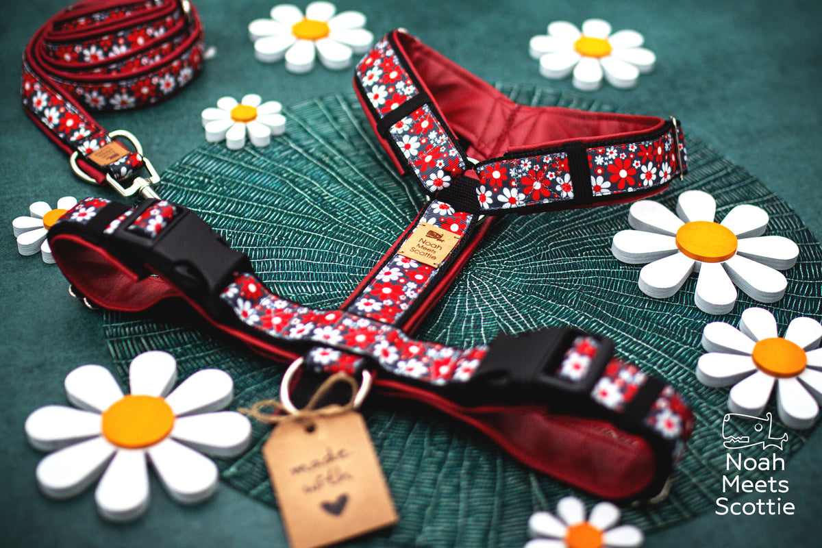Schwarzes Hundegeschirr WHOOPSIE DAISY mit roten und weißen Blumen im grafischen Retro-Look.