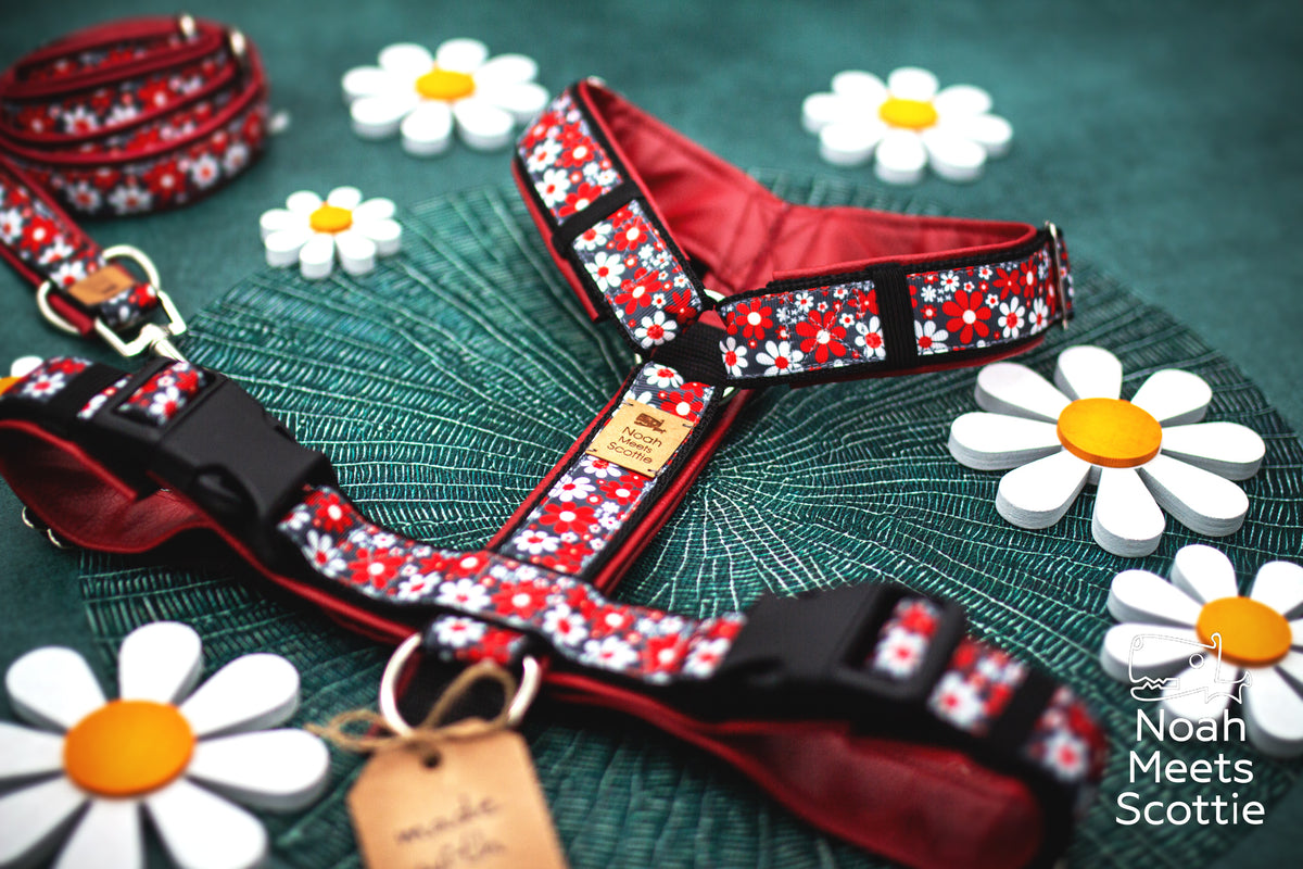 Hundegeschirr WHOOPSIE DAISY mit passender Hundeleine im schwarz-rot-weißen Blumenmuster.