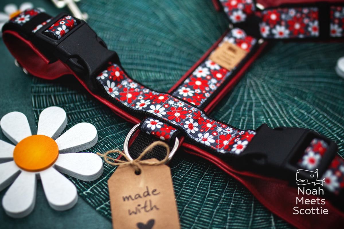 Florales Hundegeschirr WHOOPSIE DAISY in Schwarz, Rot und Weiß mit dunkelroten Details.
