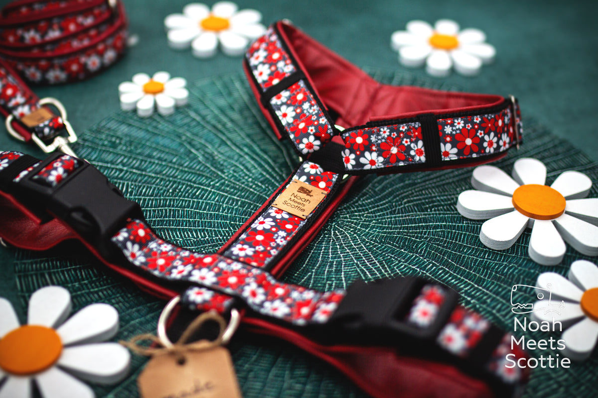 Schwarzes Hundegeschirr WHOOPSIE DAISY mit roten und weißen Blumen im grafischen Retro-Look.