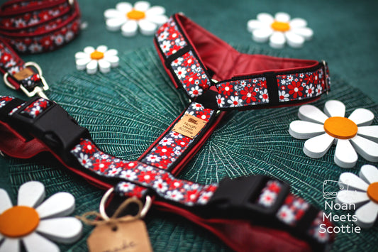 Schwarzes Hundegeschirr WHOOPSIE DAISY mit roten und weißen Blumen im grafischen Retro-Look.