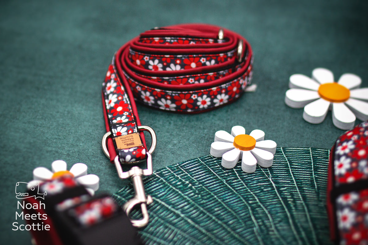 WHOOPSIE DAISY Hundegeschirr mit schwarz-rotem Retro-Blumenmuster und silberfarbenen Ringen.