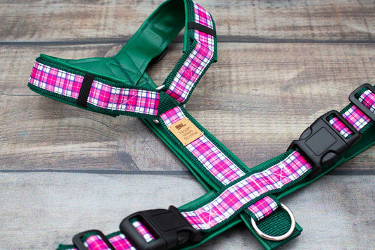 Hundegeschirr BONNIE Schottenkaro Pink Lila Weiß Grün, dunkelgrüne Polsterung, gepolstert und verstellbar