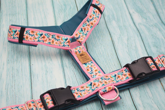 Fröhliches Hundegeschirr CARA, Sommergeschirr mit Blumen rosa türkis peach, weich gefüttert