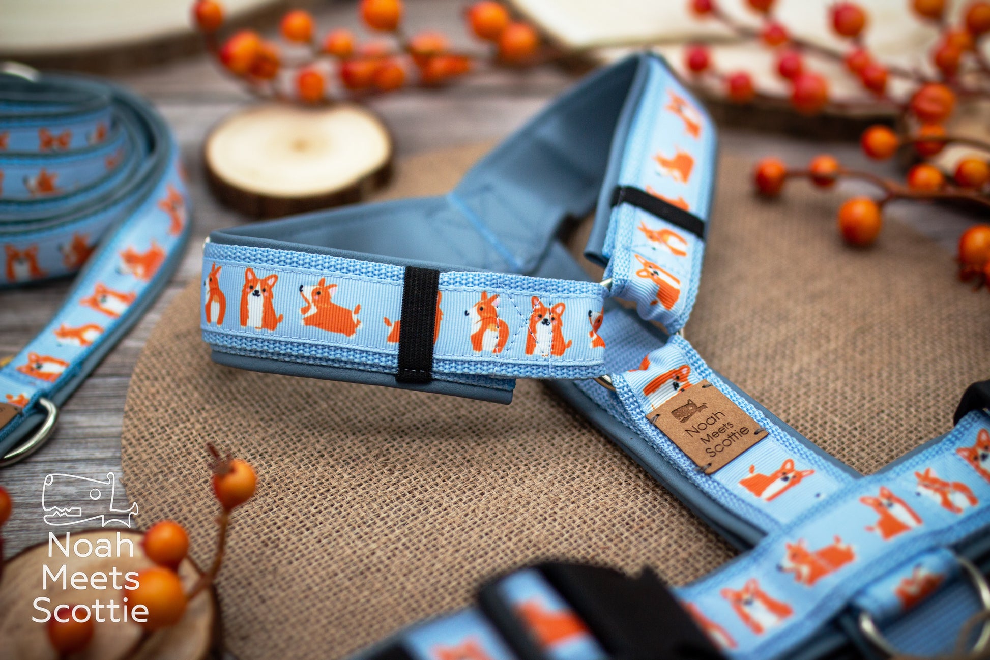 Gepolstertes Hundegeschirr mit hellblauem Gurtband und Corgi-Motiv.