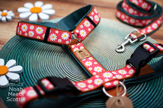 Hundegeschirr DAISY-MAISY mit weißen Margeriten auf korallrotem Hintergrund und floralem Blumenmuster