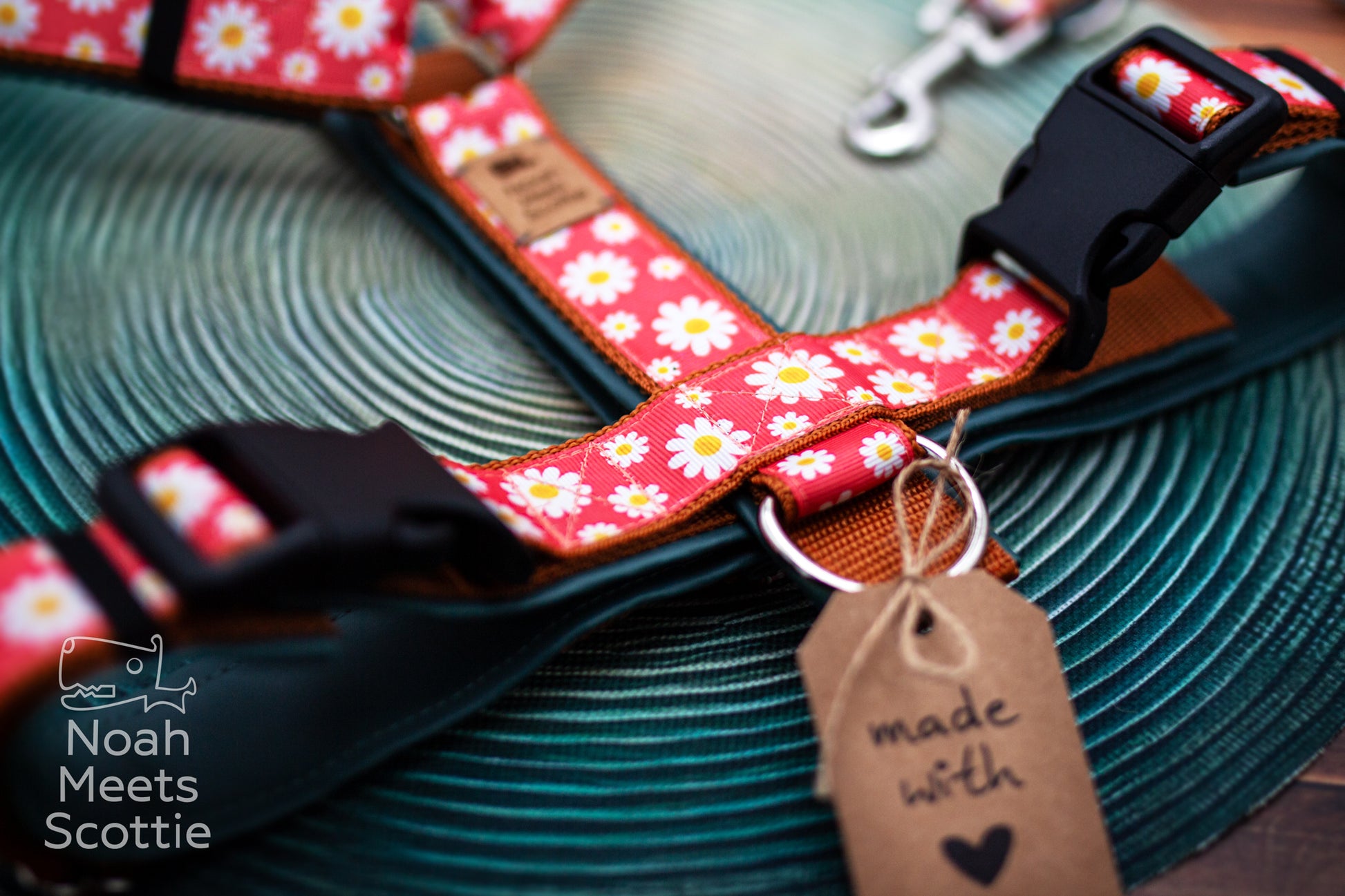 Hundegeschirr mit Blumenmuster, Margeriten und passender Hundeleine im DAISY-MAISY Design