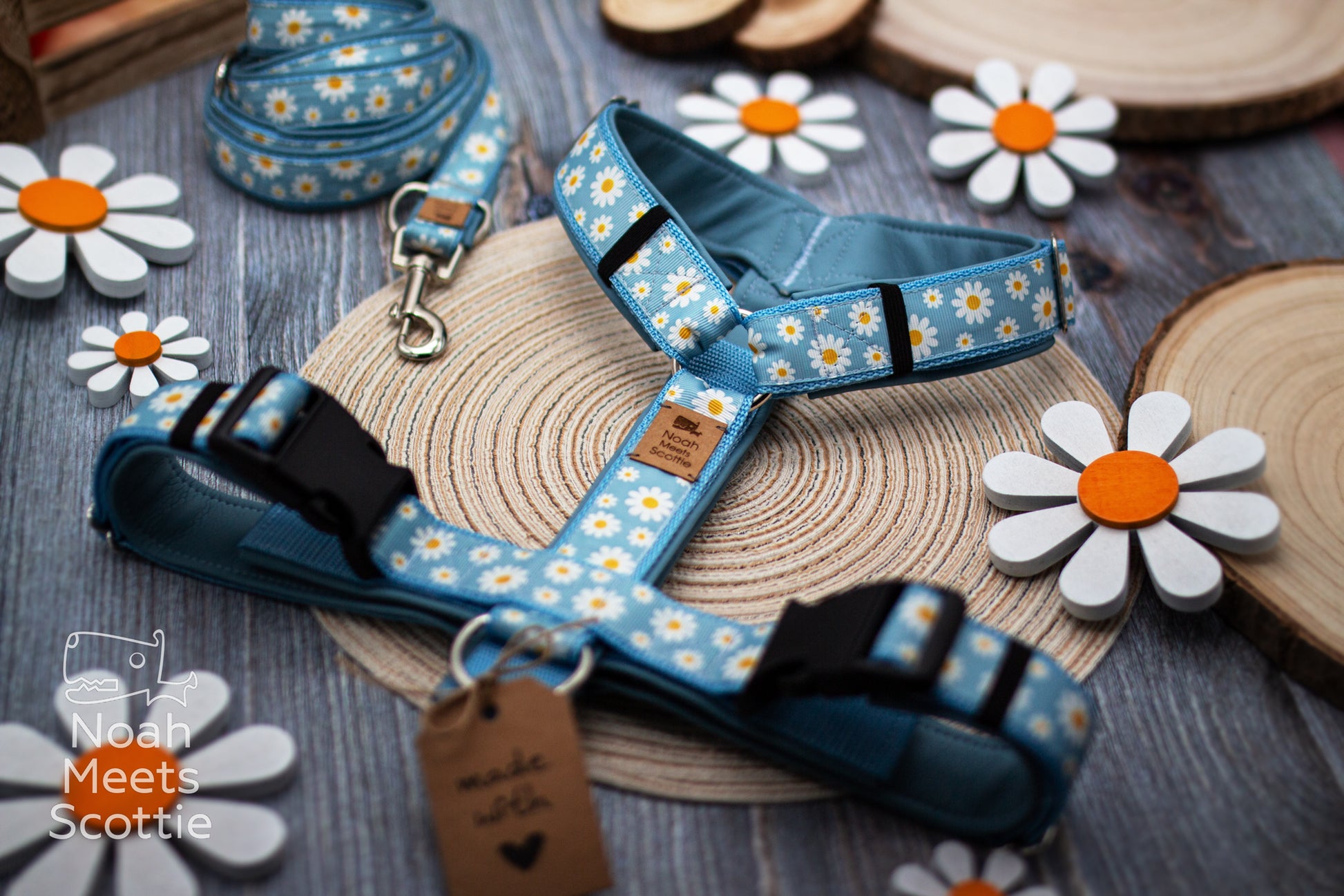 Hundegeschirr Blumenmuster mit weißen Margeriten und sommerlichem Wiesen Design