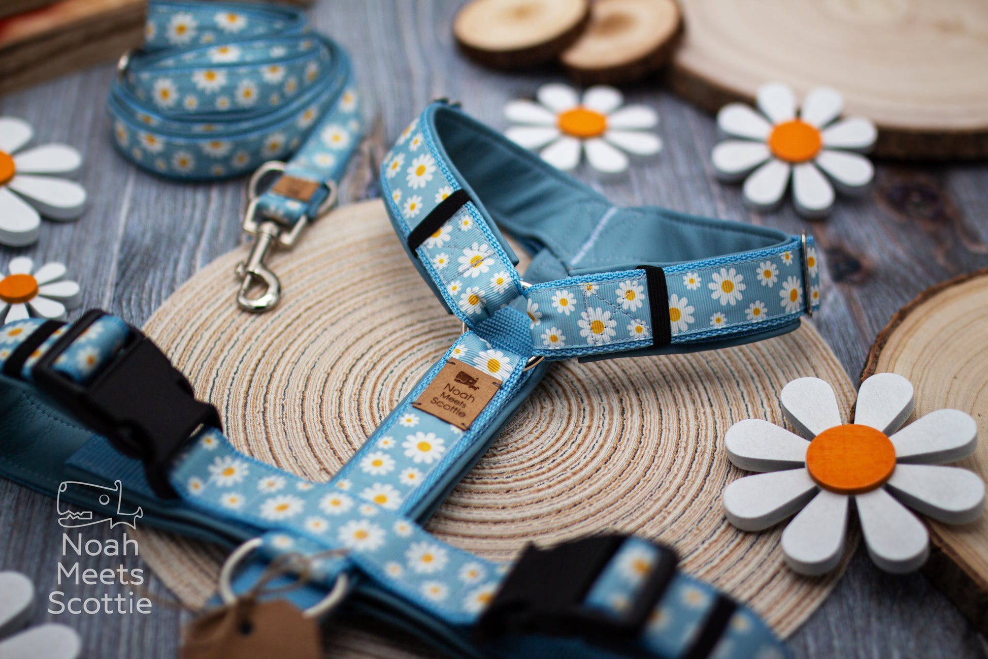 Hundegeschirr mit Gänseblümchen Muster und hellblauer Farbgestaltung für Frühling und Sommer
