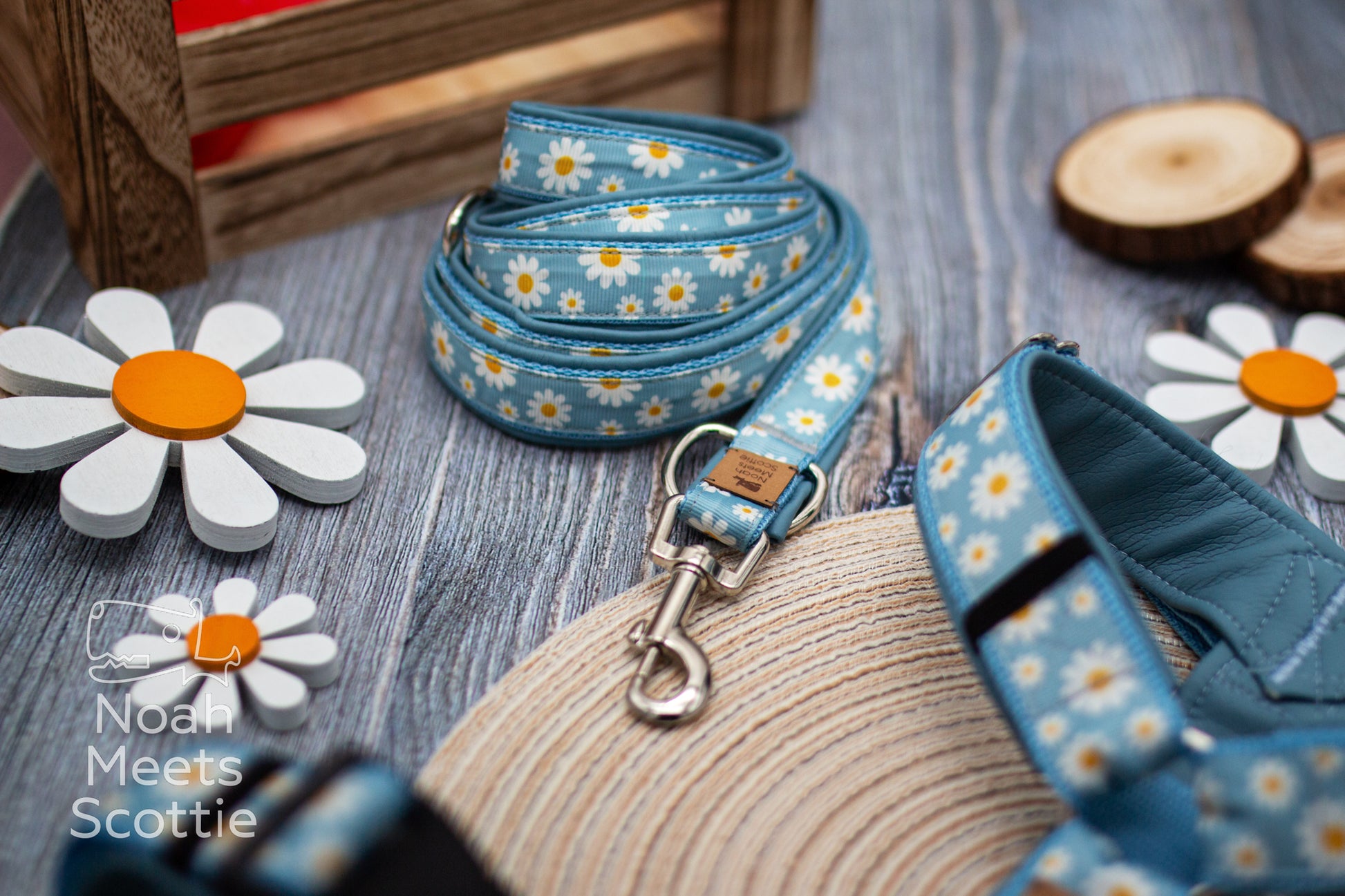 Florales Hundegeschirr DAISYDOO mit Margeriten und weißen Blüten auf Hellblau