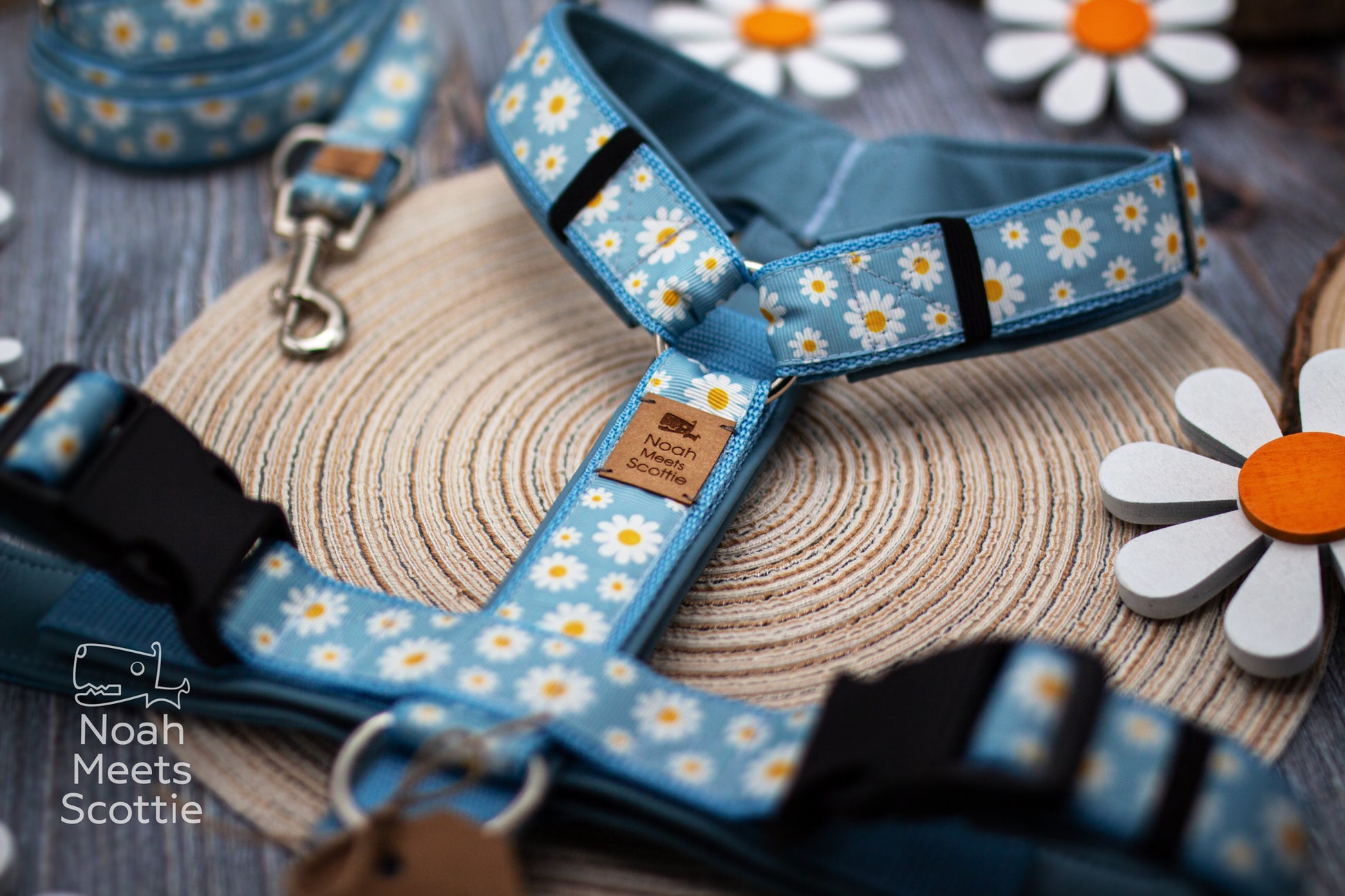Hundegeschirr DAISYDOO mit weißen Margeriten auf hellblauem Hintergrund und floralem Blumenmuster