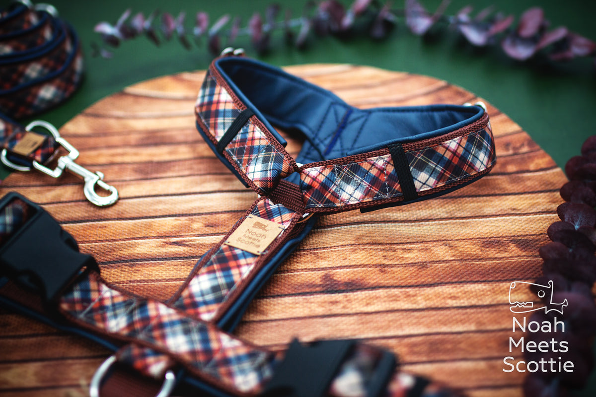 Nahaufnahme des mehrfarbigen Karomusters auf dem Hundegeschirr DAPPER DARCY mit sich kreuzenden dunkelblauen, rostrotbraunen und cremefarbenen Linien.